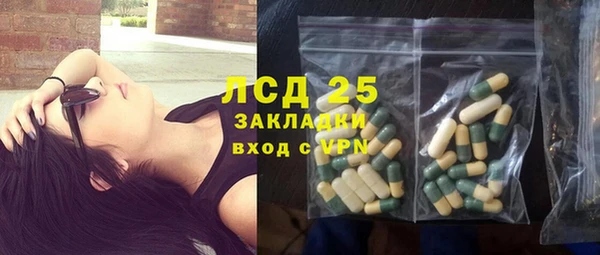 спиды Бородино