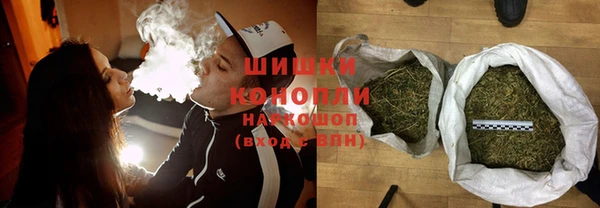 спиды Бородино