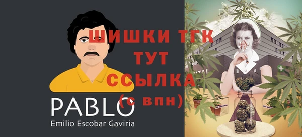 спиды Бородино