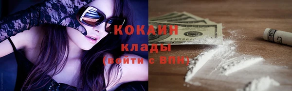 спиды Бородино