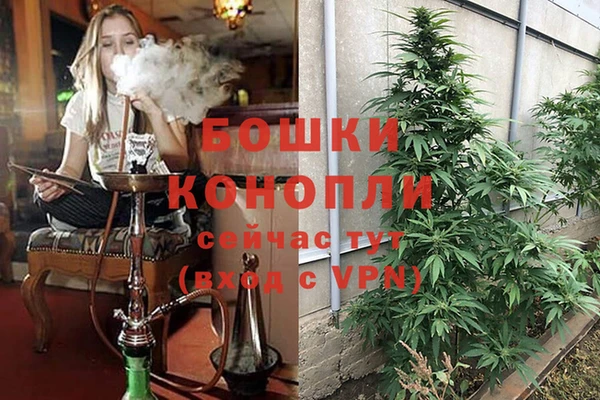 гидропоника Бронницы