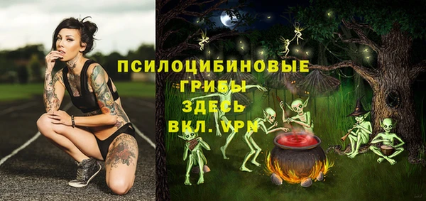 спиды Бородино
