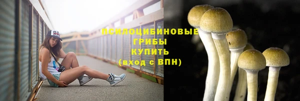 спиды Бородино