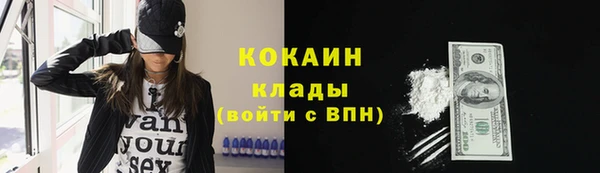 спиды Бородино