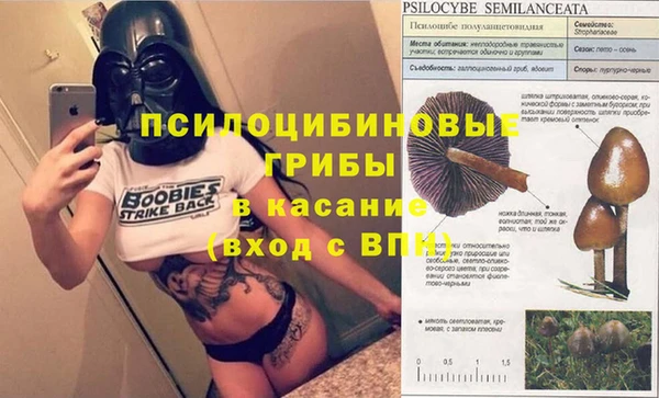 гидропоника Бронницы