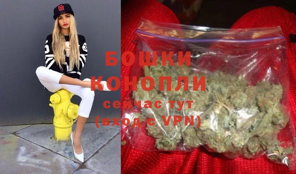 спиды Бородино