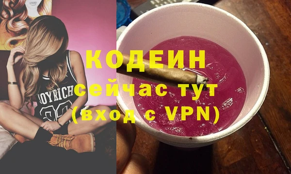 спиды Бородино