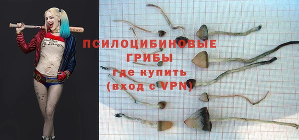 spice Бугульма
