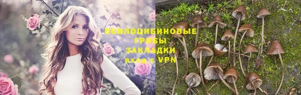 spice Бугульма